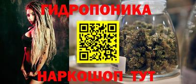 крисы Донской