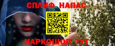 крисы Донской