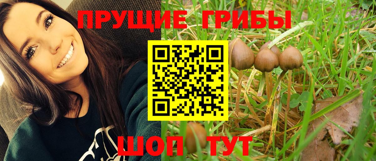 Псилоцибиновые грибы GOLDEN TEACHER Йошкар-Ола