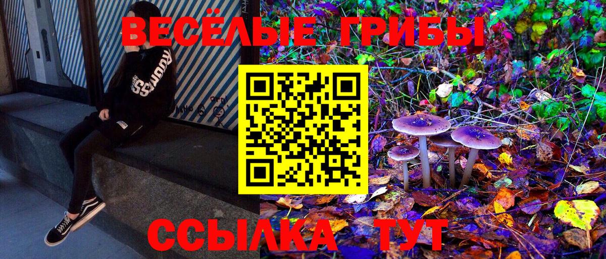 наркотики  Вход с VPN  Йошкар-Ола  Псилоцибиновые грибы Magic Shrooms  Псилоцибиновые грибы прущие грибы 